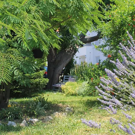 501 - Rab Island Oasis Retreat Supetarska Draga