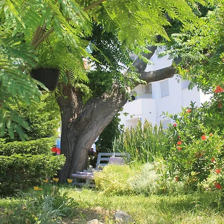 501 - Rab Island Oasis Retreat Supetarska Draga