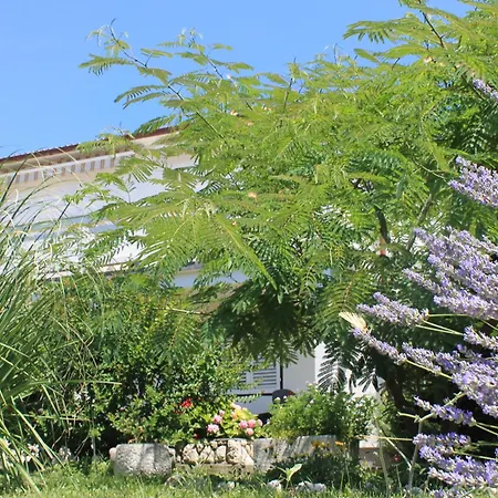 Apartment 501 - Rab Island Oasis Retreat Supetarska Draga