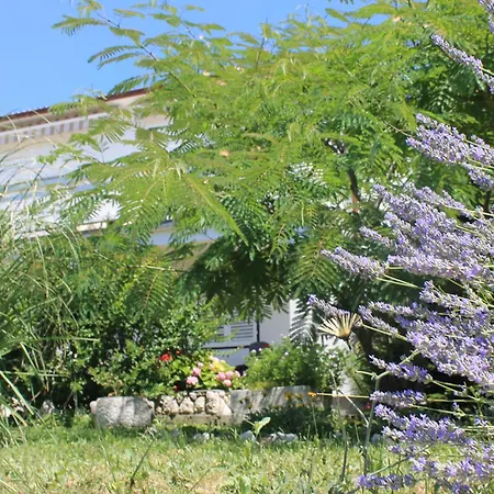 501 - Rab Island Oasis Retreat Apartment Supetarska Draga