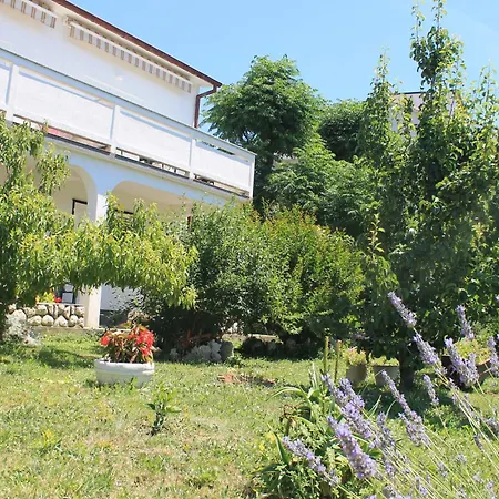 Apartment 501 - Rab Island Oasis Retreat Supetarska Draga