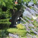 501 - Rab Island Oasis Retreat Supetarska Draga
