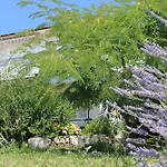 501 - Rab Island Oasis Retreat *