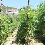 501 - Rab Island Oasis Retreat Διαμέρισμα Supetarska Draga