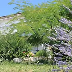 501 - Rab Island Oasis Retreat Διαμέρισμα Supetarska Draga