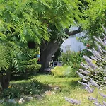 501 - Rab Island Oasis Retreat *