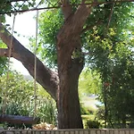 501 - Rab Island Oasis Retreat Διαμέρισμα *