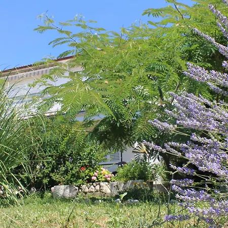 501 - Rab Island Oasis Retreat * Supetarska Draga
