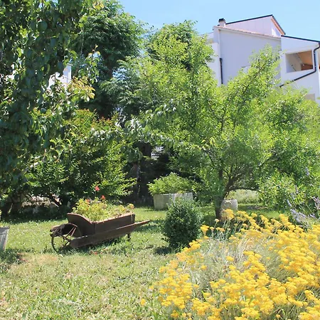 501 - Rab Island Oasis Retreat Апартаменты