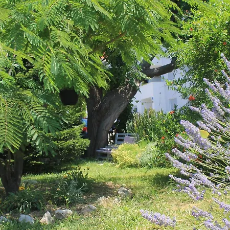 501 - Rab Island Oasis Retreat *