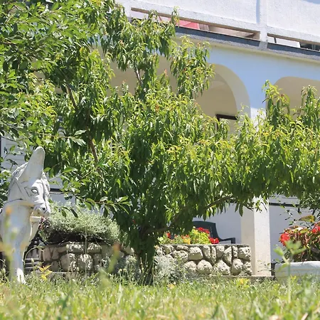 501 - Rab Island Oasis Retreat Супетарска-Драга