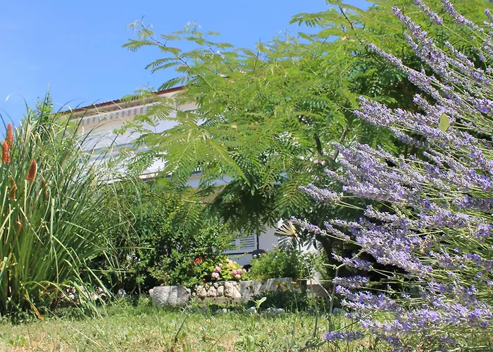 501 - Rab Island Oasis Retreat * Supetarska Draga