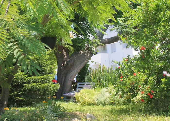 501 - Rab Island Oasis Retreat Supetarska Draga