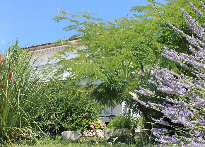 Apartamento 501 - Rab Island Oasis Retreat Supetarska Draga