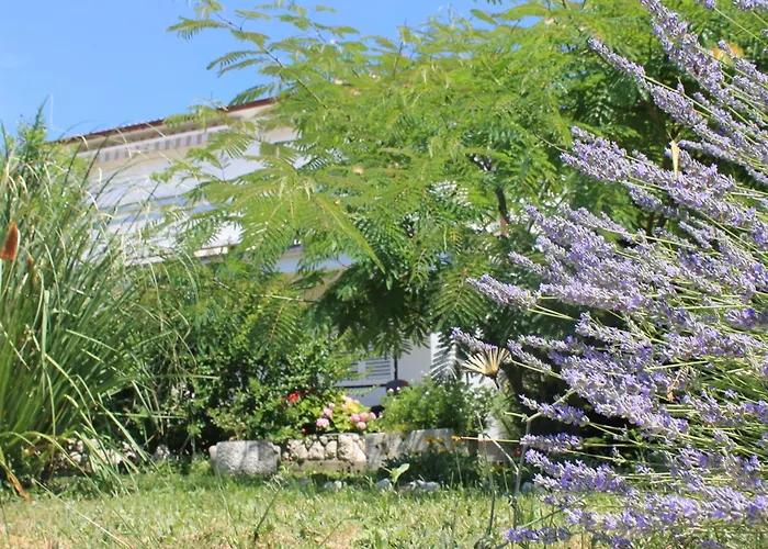 501 - Rab Island Oasis Retreat Apartamento Supetarska Draga