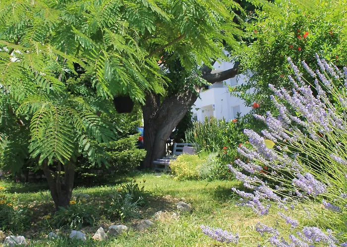 501 - Rab Island Oasis Retreat *