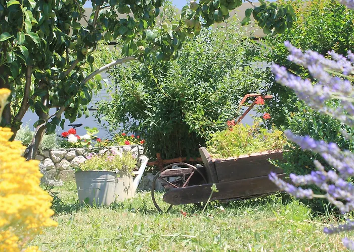 501 - Rab Island Oasis Retreat * Supetarska Draga